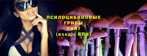 гидропоника Белоозёрский