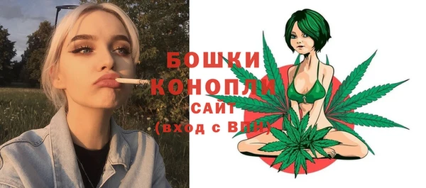 гидропоника Белоозёрский