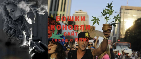 гидра Беломорск