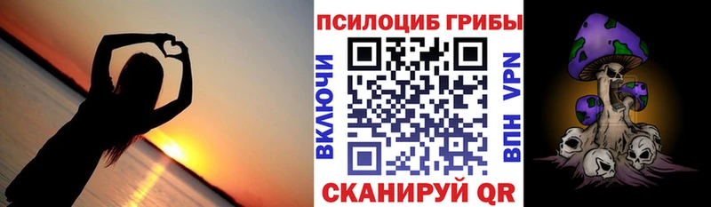 Псилоцибиновые грибы Cubensis наркотики Кущёвская